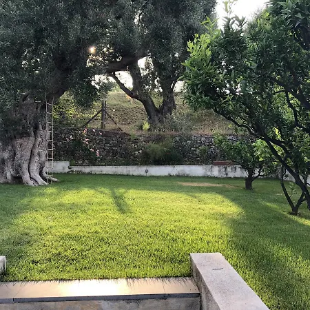 Villa Cactus *